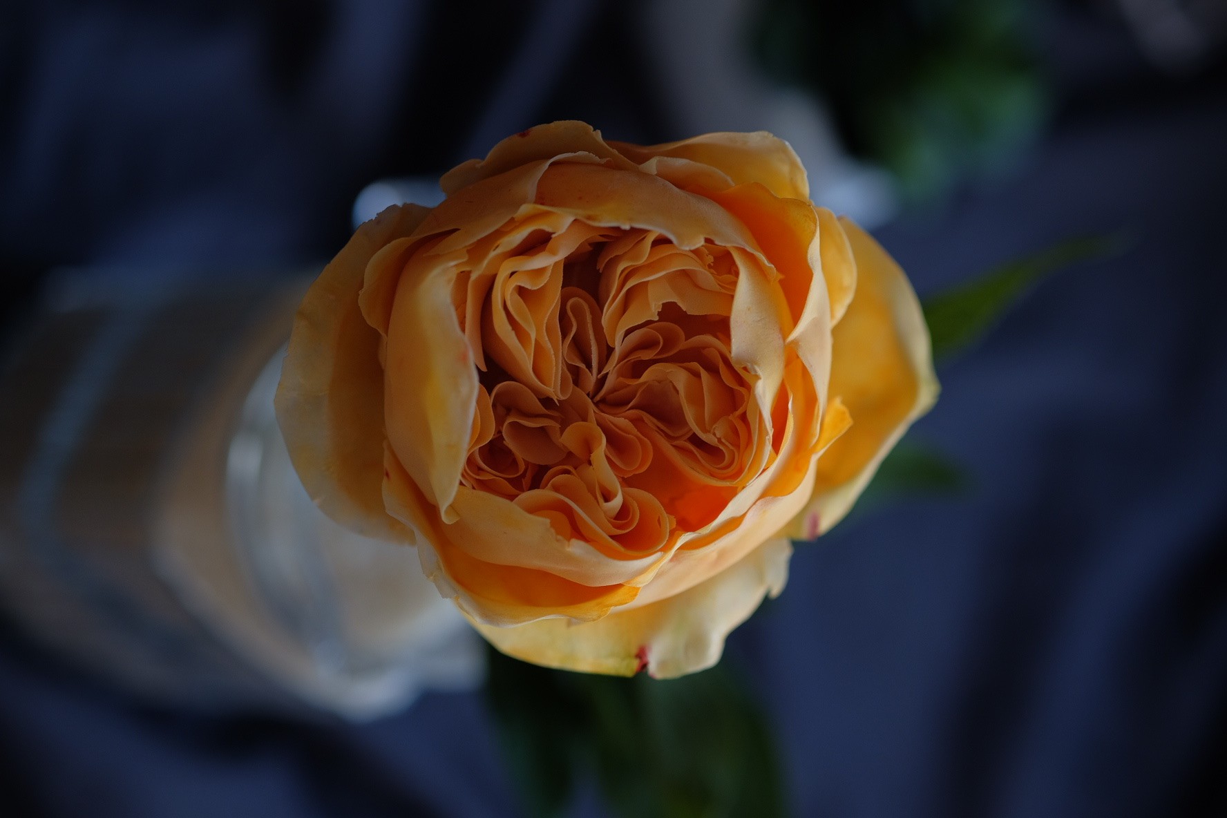 Sau đó, anh tìm tòi, học hỏi từ các trang web quốc tế về cách làm bánh và đã áp dụng được rất nhiều công thức bánh ngon.