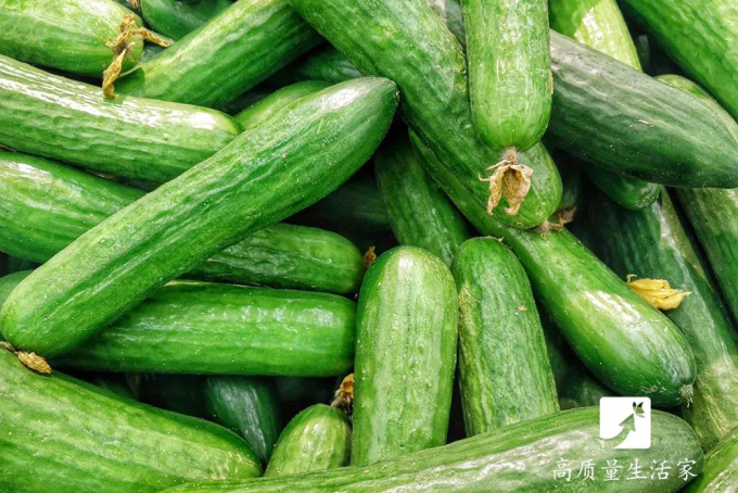 Dưa chuột nên chọn quả thon, còn gai sẽ tươi, ngon hơn. Ảnh: Aboluowang