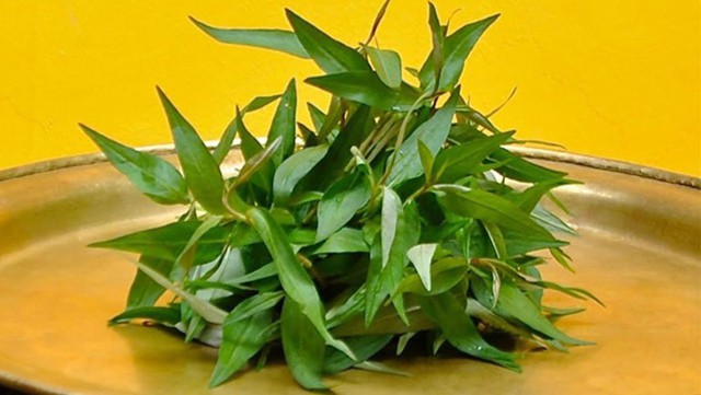 Rau răm tươi ngon