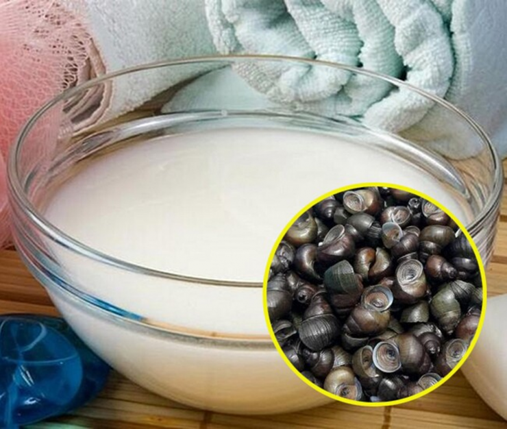 Những Điều Cần Lưu Ý Khi Luộc Ốc Để Đảm Bảo Ngon Sạch Chuẩn Vị Nhà Hàng - 2