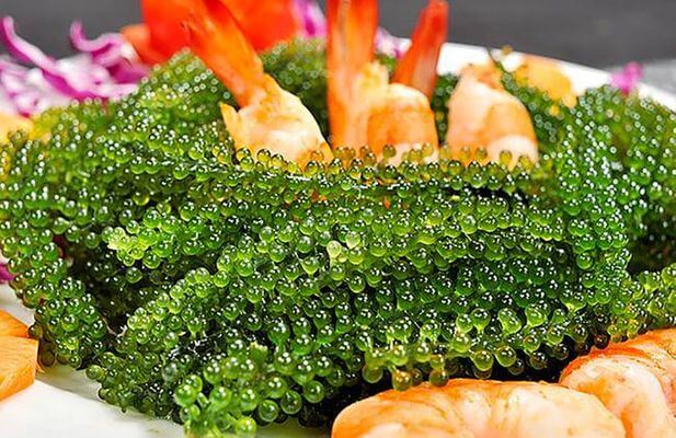 Siêu thực phẩm bảo vệ sức khỏe tim mạch có sẵn ở biển Việt Nam, bán đầy trong các siêu thị, chế biến nhiều món ngon - 11