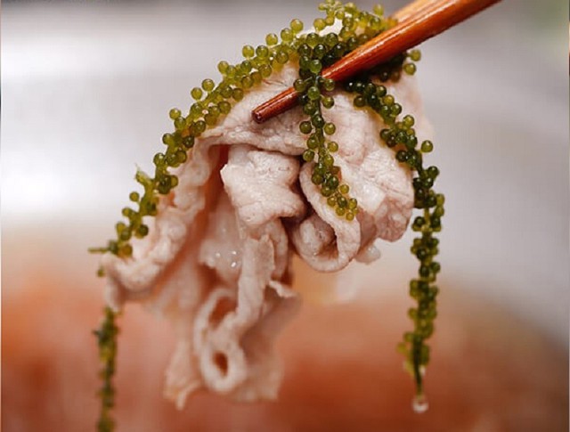 Siêu thực phẩm bảo vệ sức khỏe tim mạch có sẵn ở biển Việt Nam, bán đầy trong các siêu thị, chế biến nhiều món ngon - 6