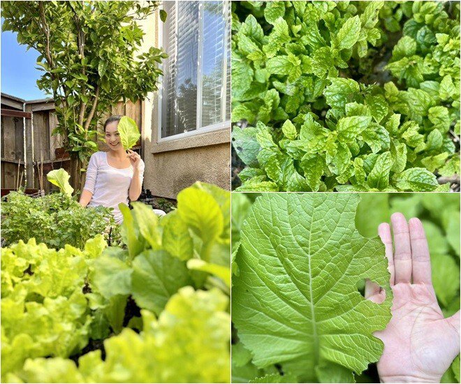 Mâm cơm đậm chất Việt giữa lòng Mỹ của gia đình nữ diễn viên nổi tiếng