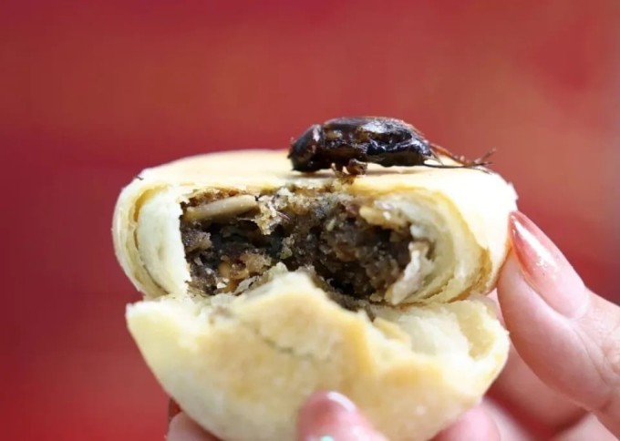 Nhiều thực khách muốn trải nghiệm bánh trung thu với dế nguyên con.