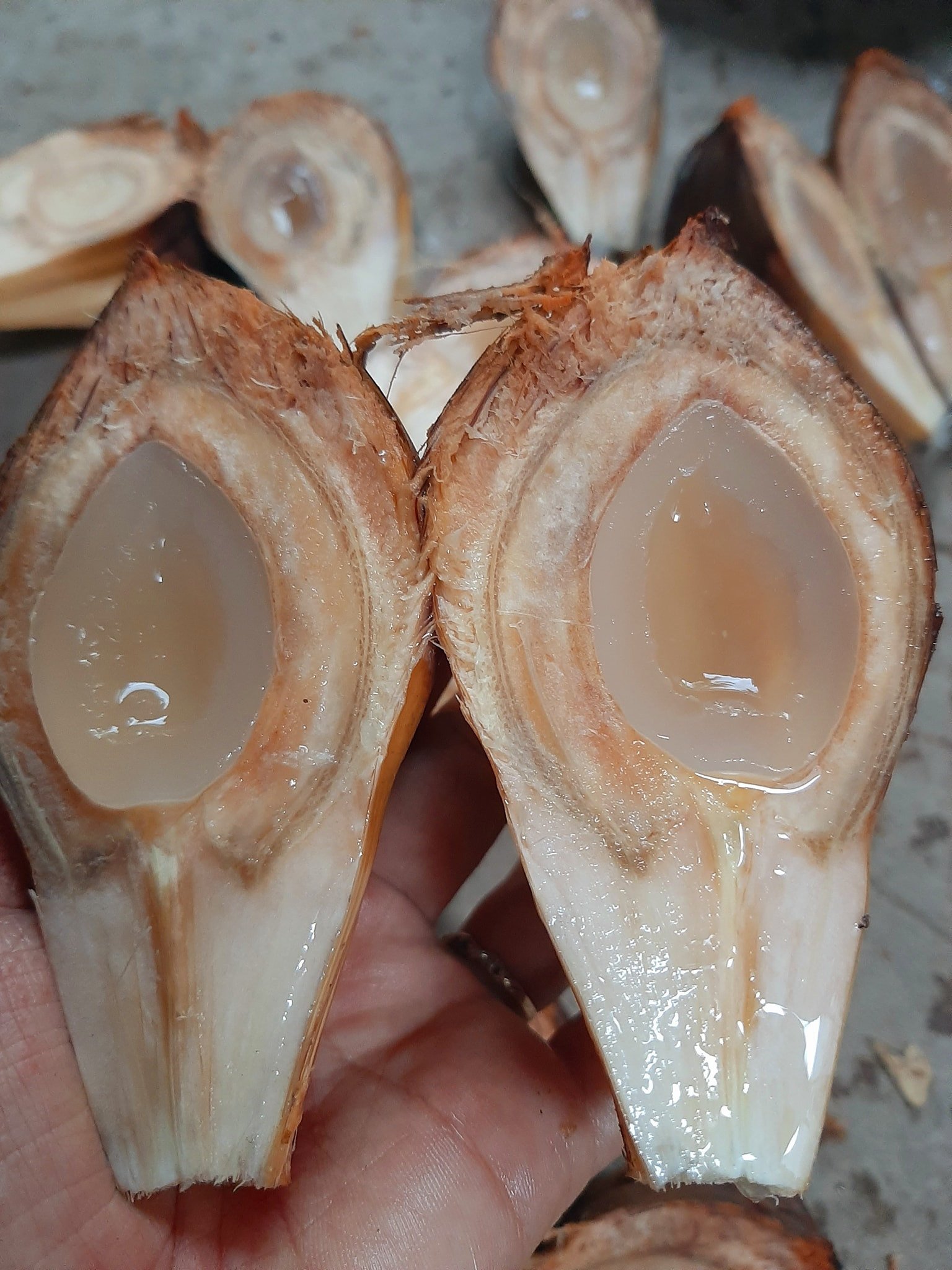 Món ngon miền Tây từ cây mọc hoang ven kênh rạch, trái chi chít, mọc ép sát nhau - 3