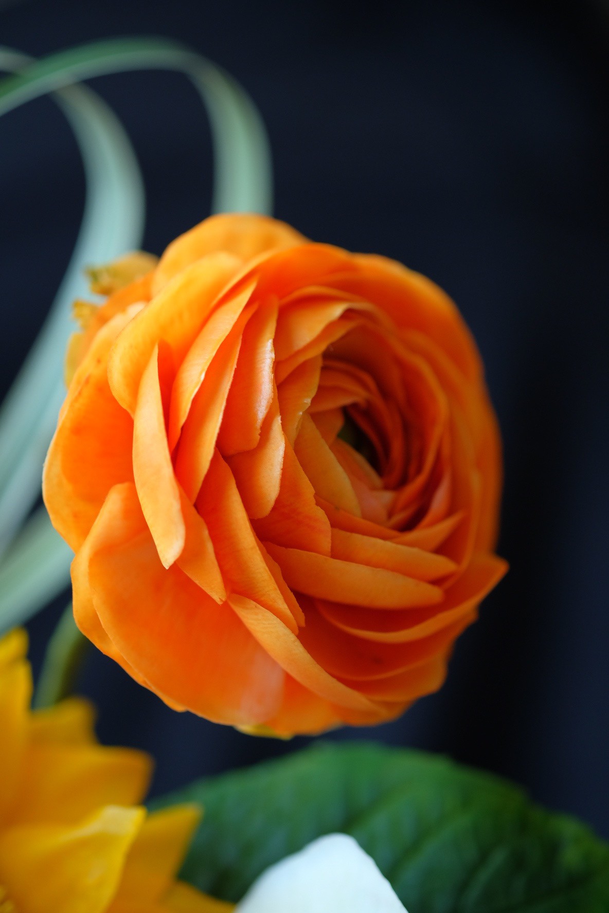 Mỗi bông hoa đều được anh sáng tạo một cách tỉ mỉ. Từ những cánh hoa, nhụy hoa, lá đều được làm từ đường, sau đó tô màu bằng bột màu thực phẩm ăn được, đảm bảo vệ sinh an toàn thực phẩm.