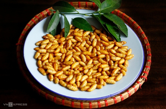 Nhộng tằm có đặc điểm nhỏ, màu vàng và sáng bóng.