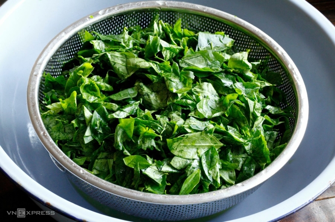 Ảnh minh họa: Bùi Thủy