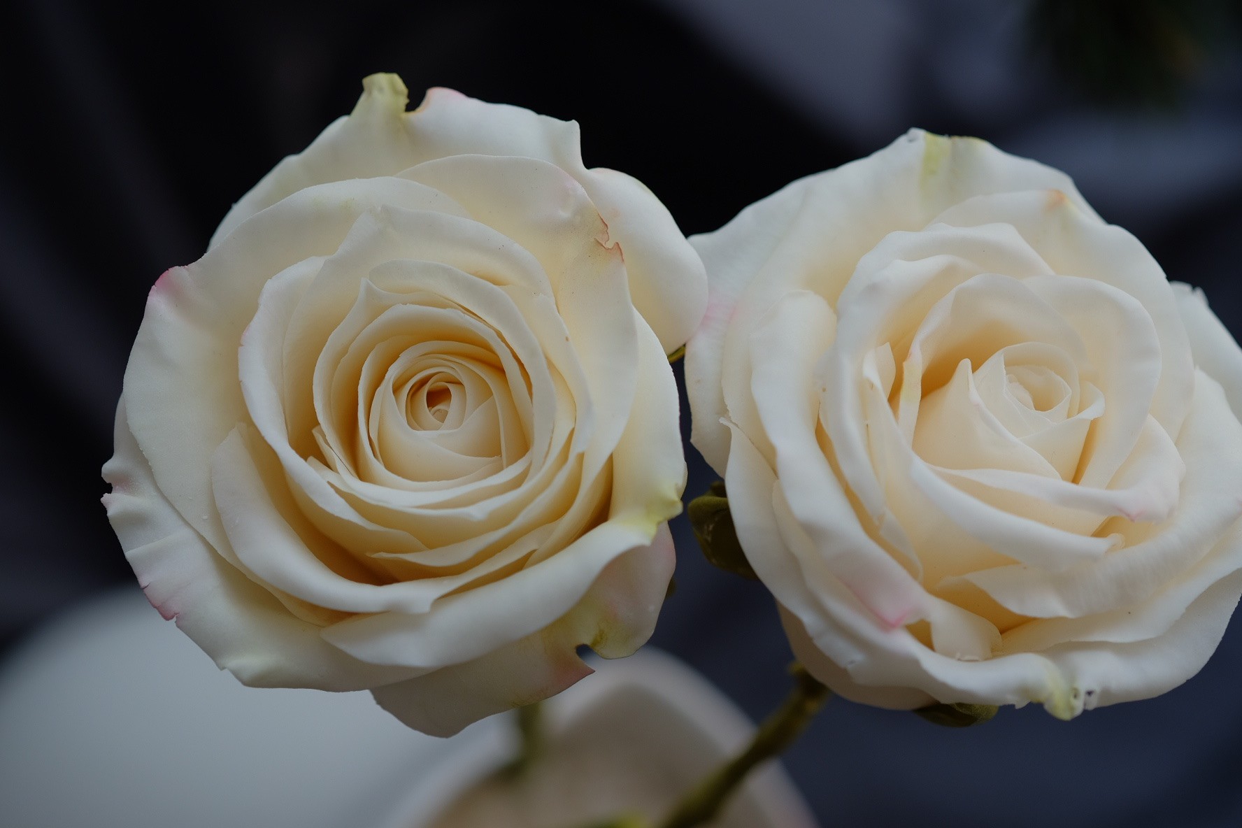 Hiện tại, Hoàng Anh đang mở các lớp dạy làm bánh ở Hà Nội và TP.HCM. Anh cũng nổi tiếng trong cộng đồng làm bánh Đông Nam Á nhờ những tác phẩm đặc biệt của mình.